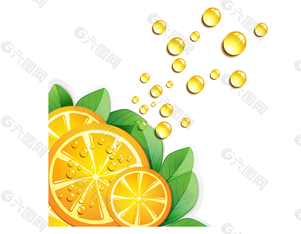 橙子气泡装饰矢量图