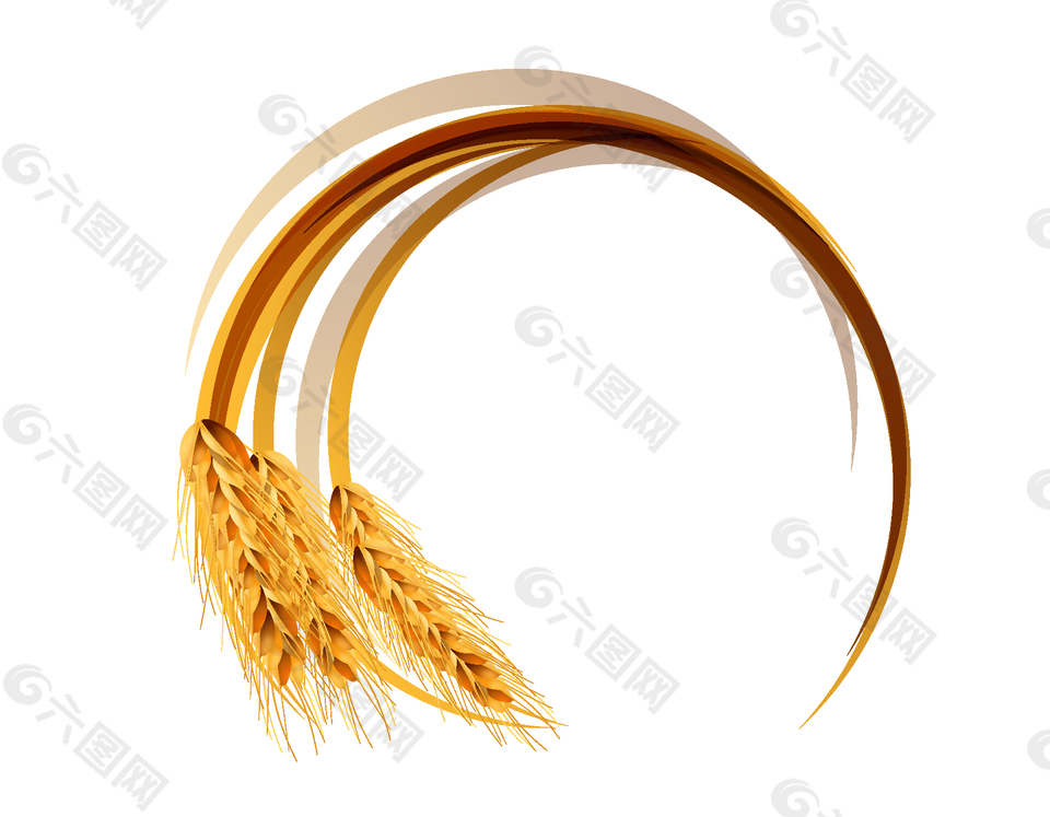 成熟的金色小麦装饰矢量图