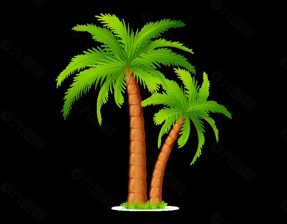 矢量清新海南椰子树