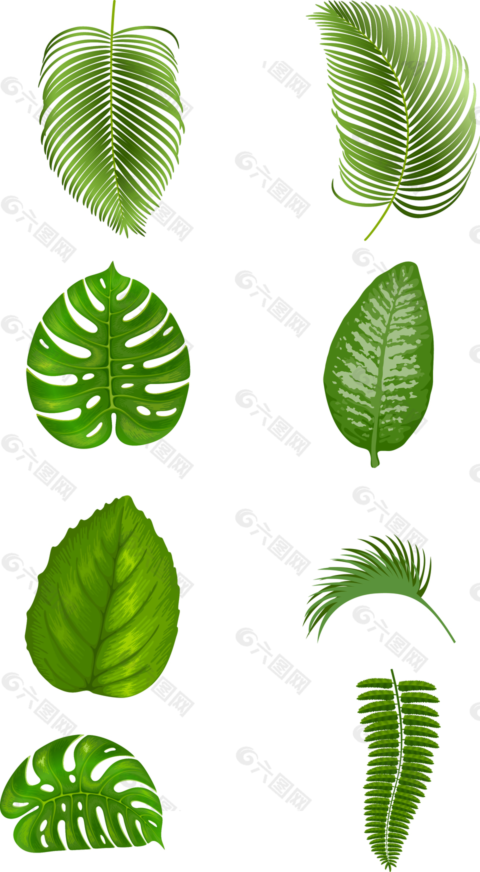 绿色植物叶子图案