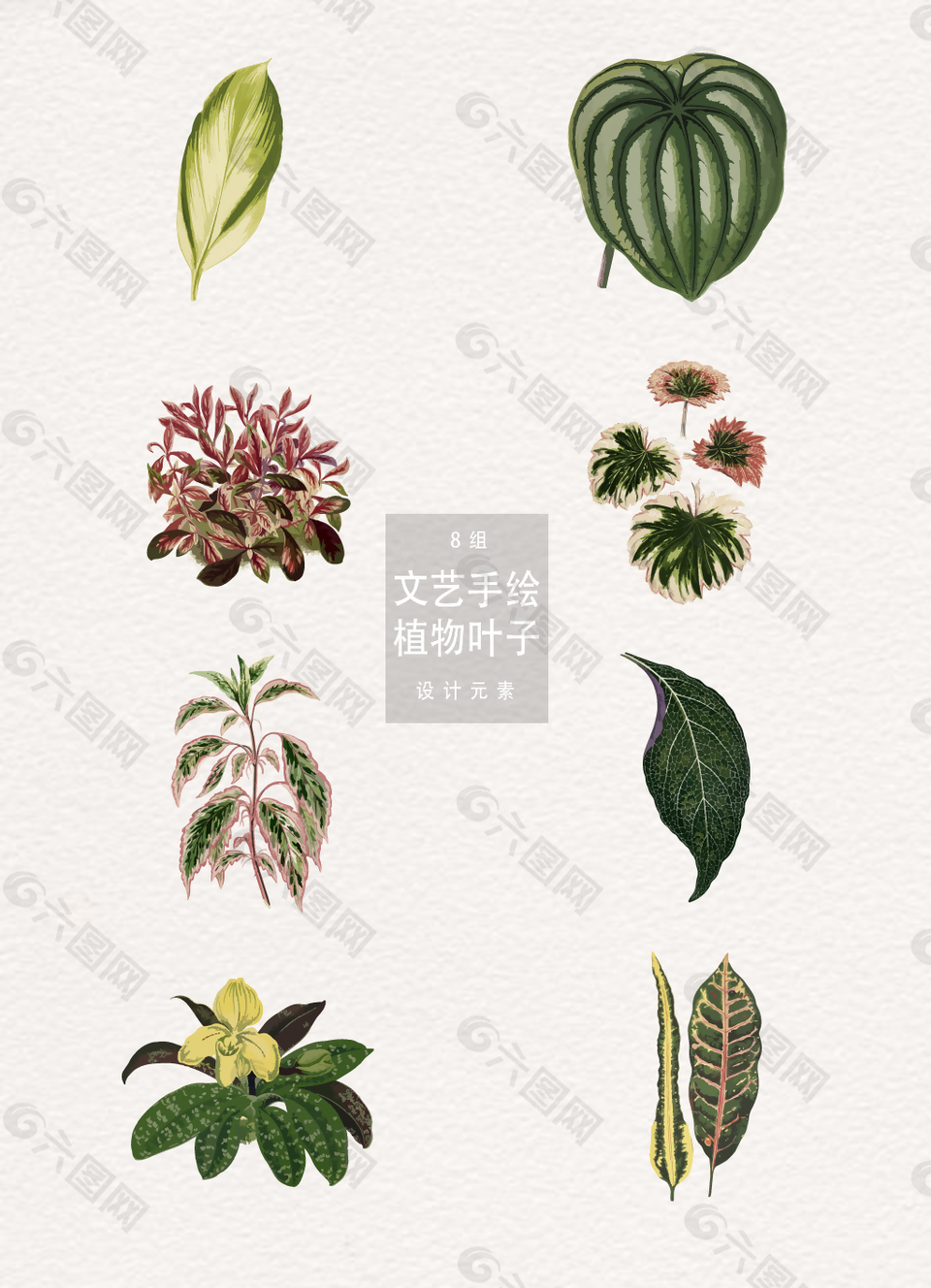 文艺手绘植物叶子元素