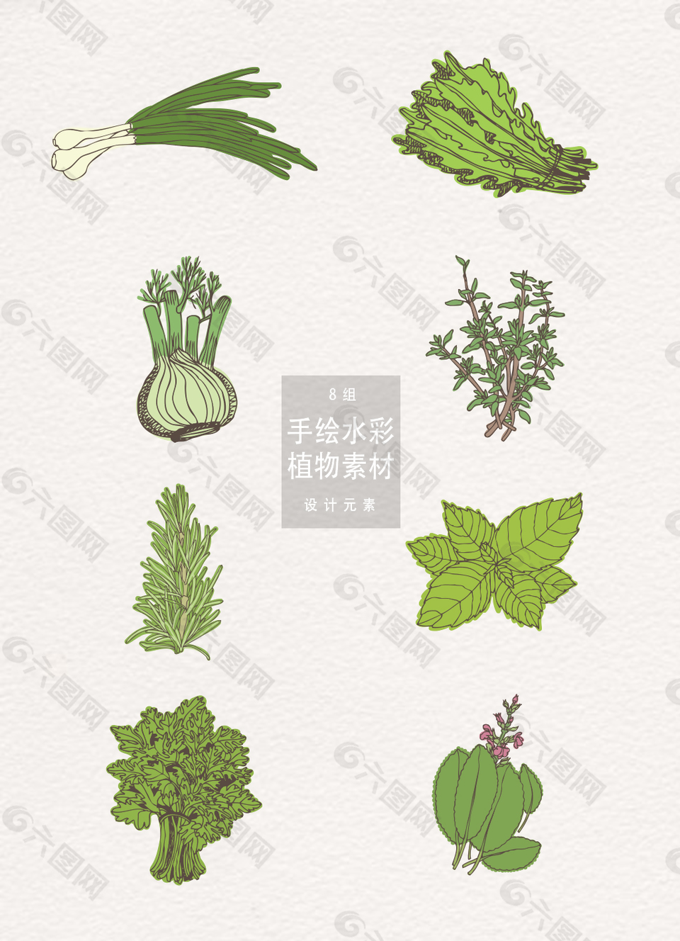 手绘蔬菜植物设计元素