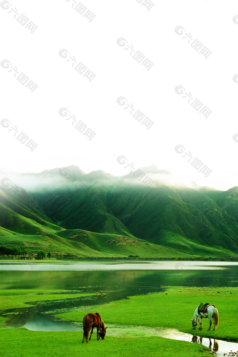 内蒙古草原旅游背景