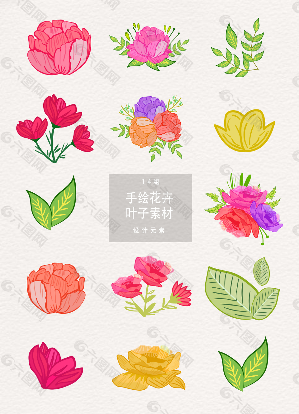 手绘花卉植物叶子设计元素