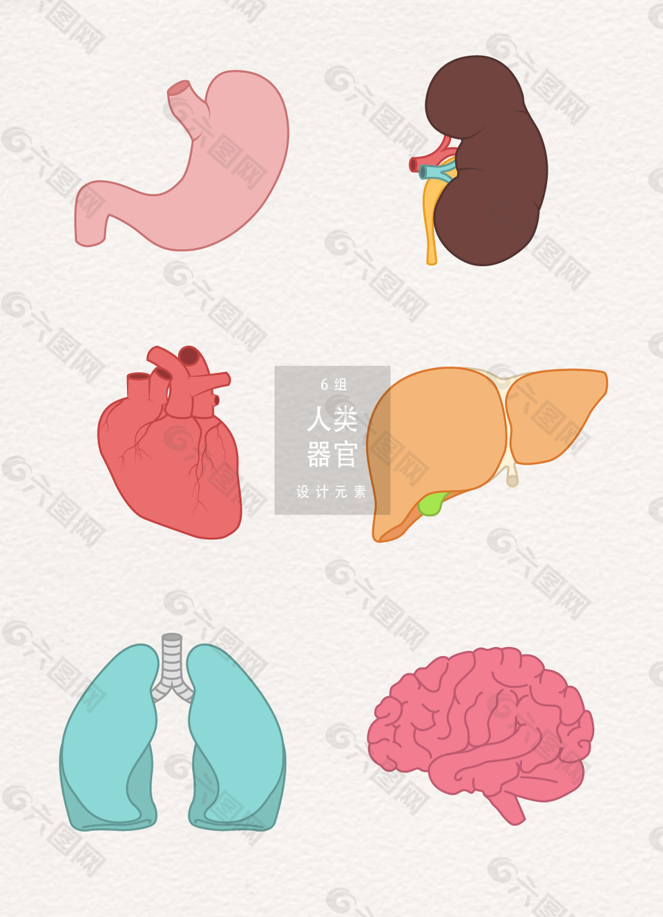 人类器官设计元素