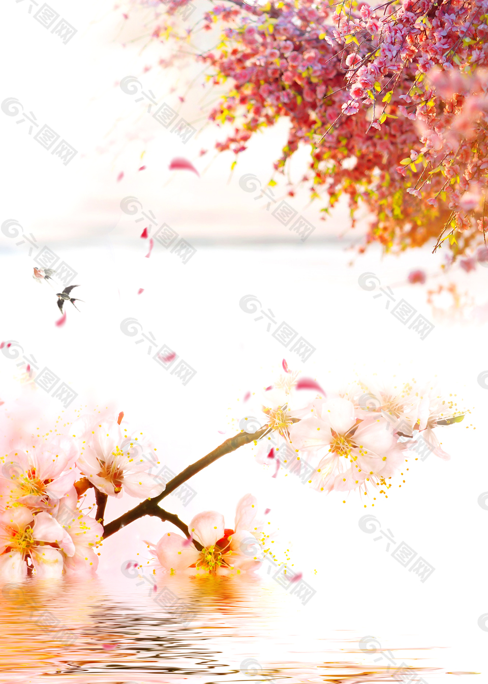 粉色樱花节浪漫海报背景