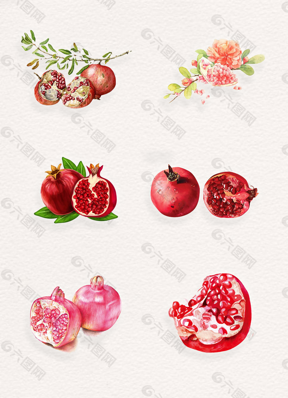 红色的石榴造型摄影