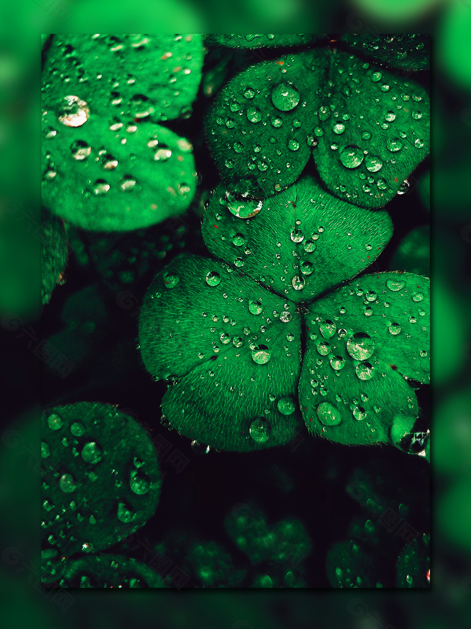 绿色春天花草背景