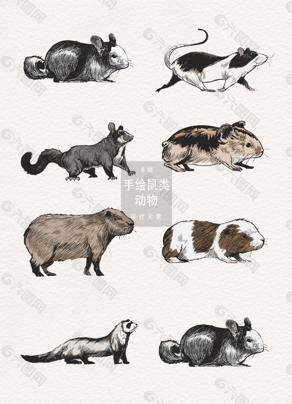 手绘鼠类动物插画元素设计元素素材免费下载 图片编号 六图网
