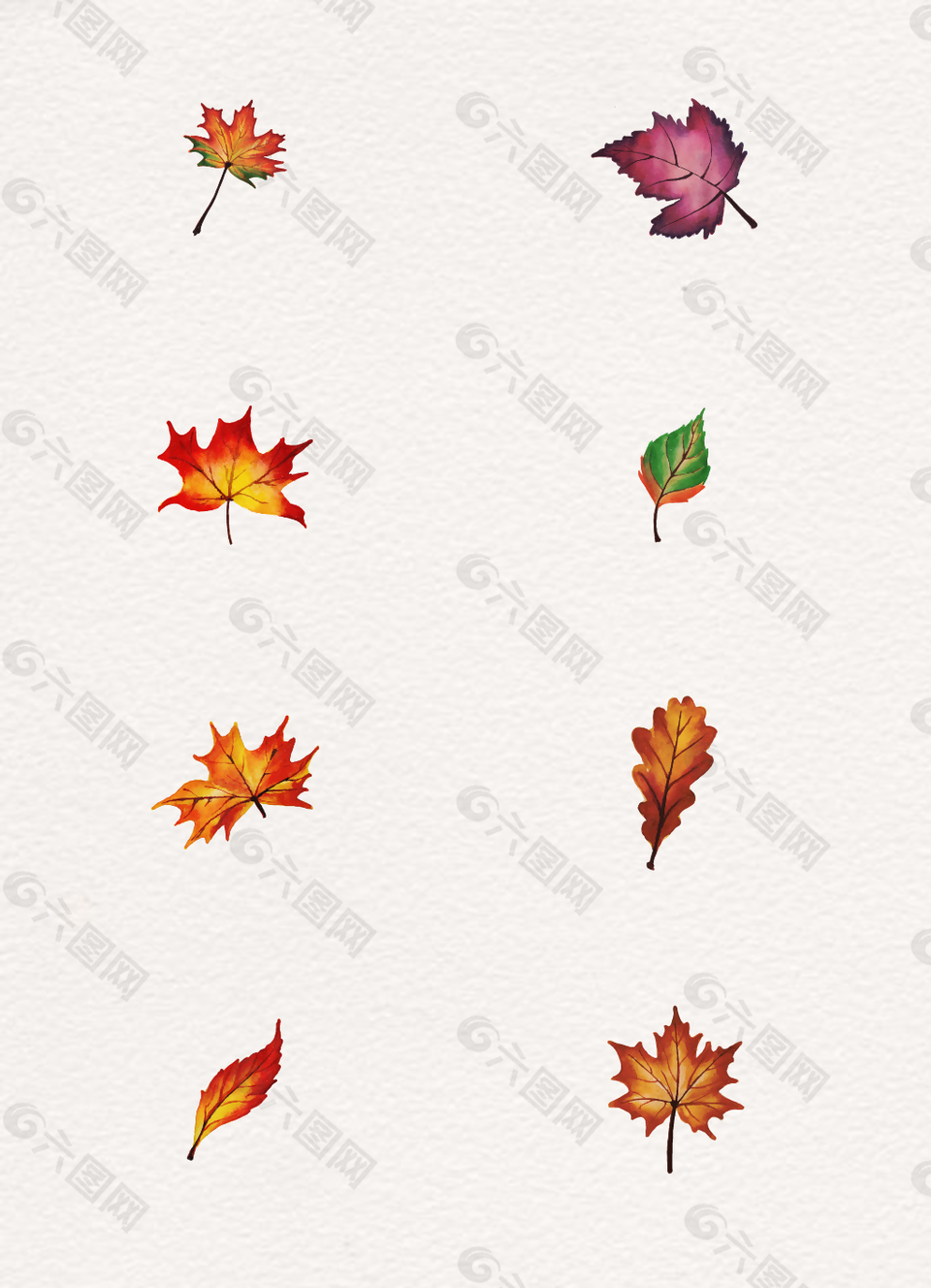8组枫叶秋季植物元素设计