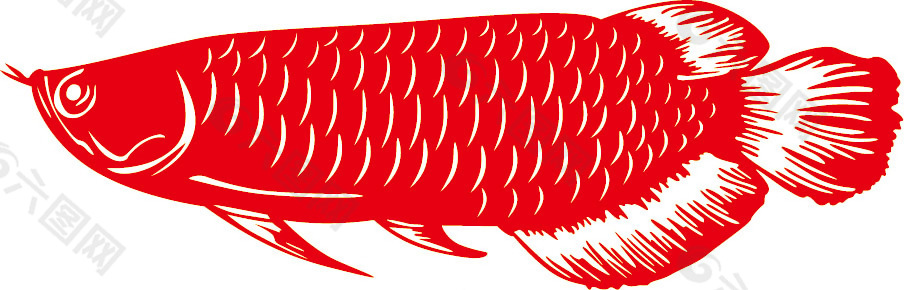 红龙鱼