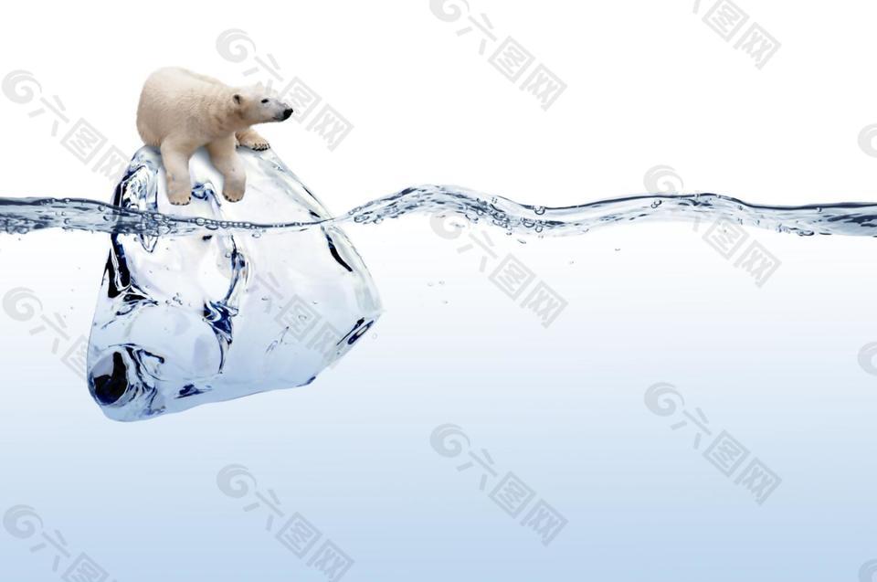北极熊动物海报素材