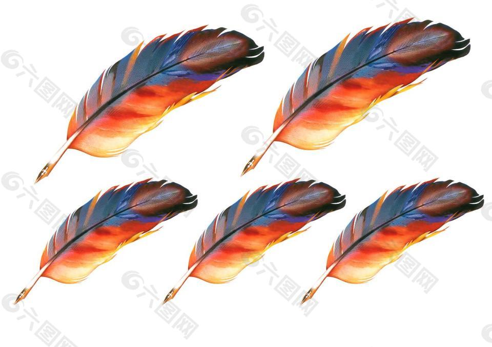 羽毛笔卡通素材