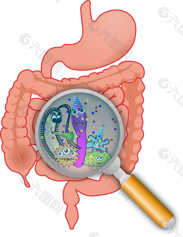 肠道里的细菌菌群