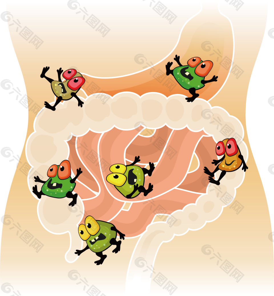 肠道里的细菌们