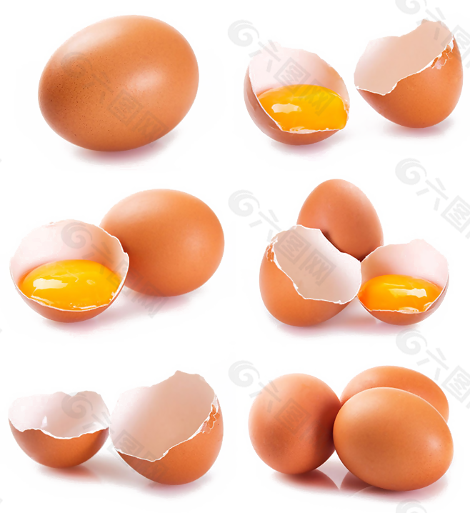 鸡蛋蛋壳碎蛋黄png