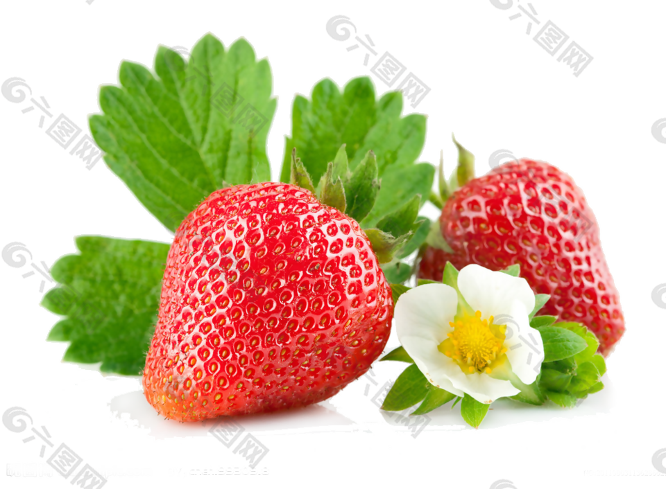 绿色草莓新鲜草莓