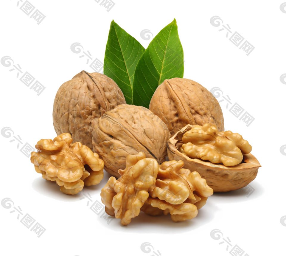 干果核桃核桃仁