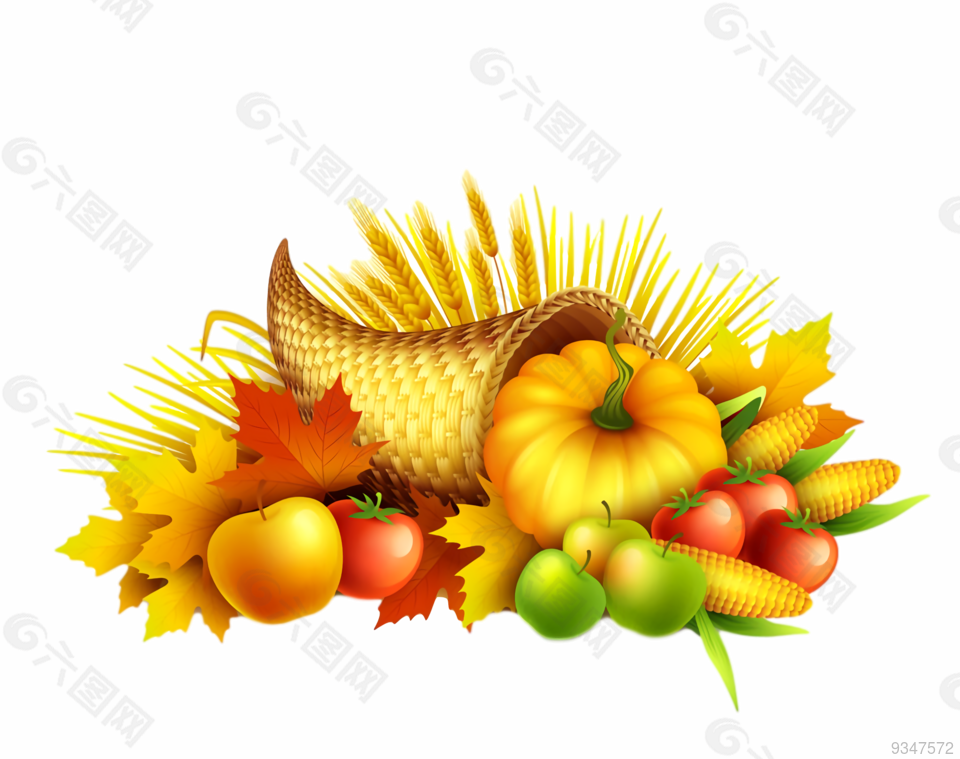 秋收的蔬菜水果食物