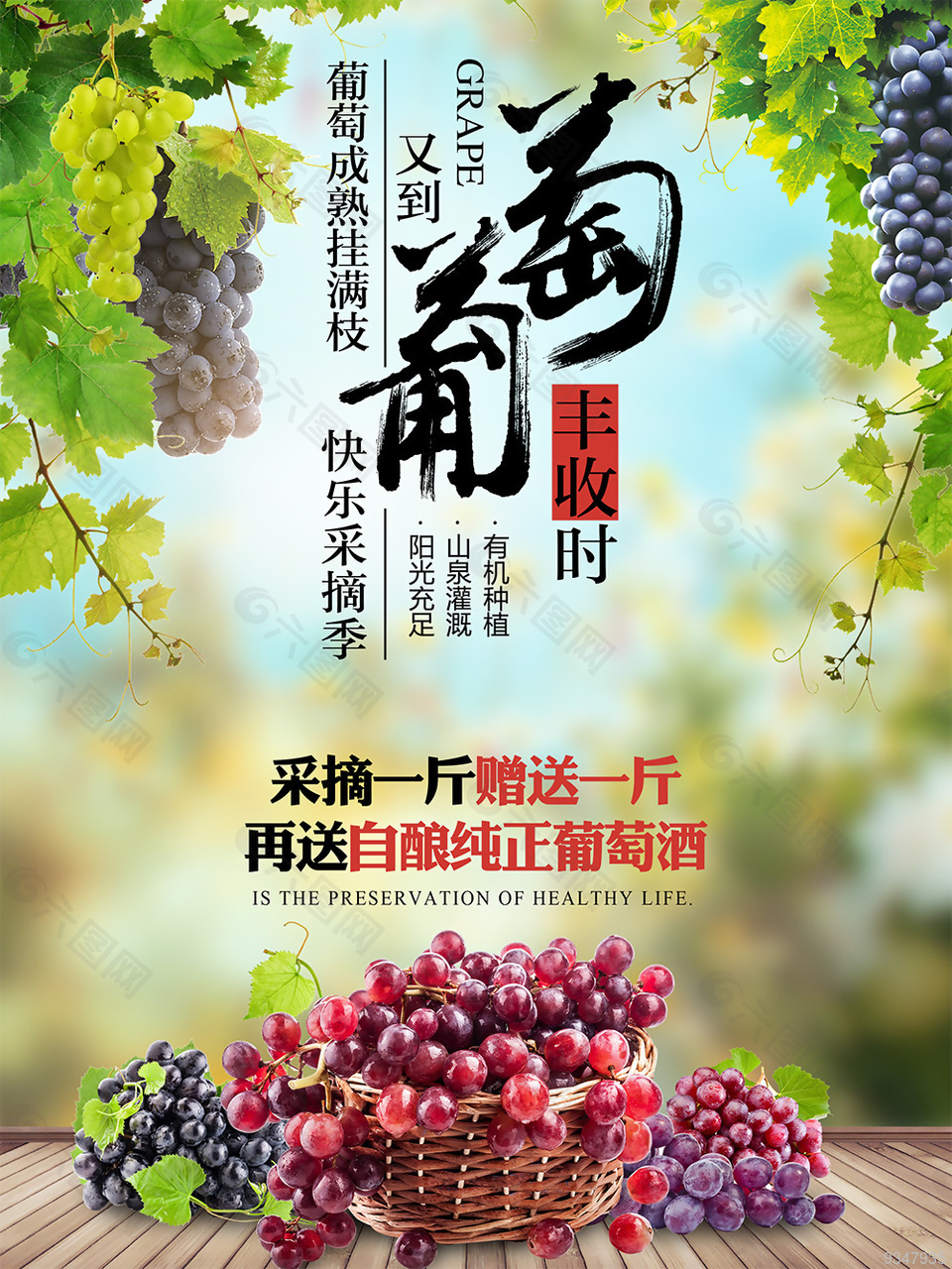 葡萄水果海报平面广告素材免费下载 图片编号 六图网