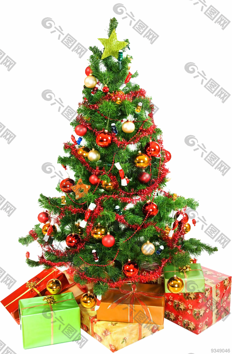 圣诞节树礼物盒