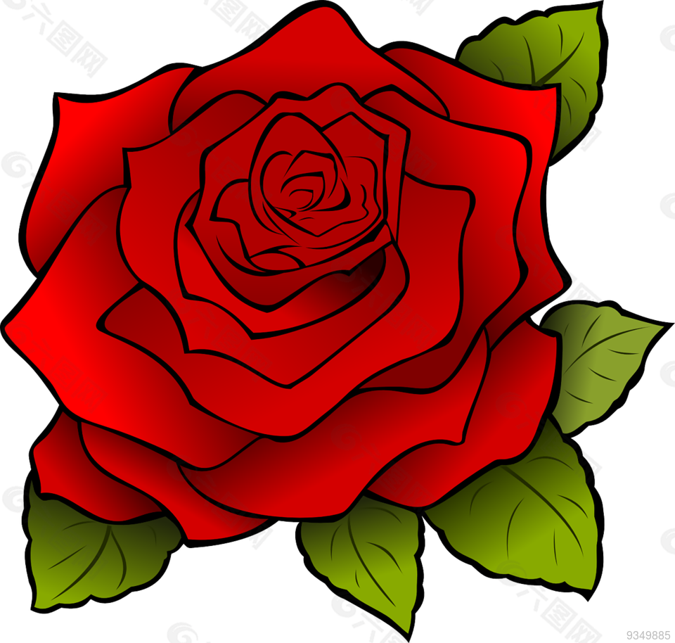 花 玫瑰 植物 红玫瑰 红色的花