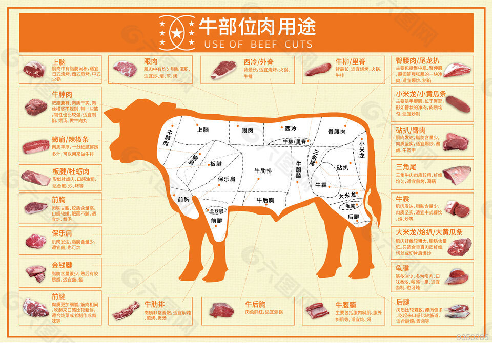 南美牛肉分割图
