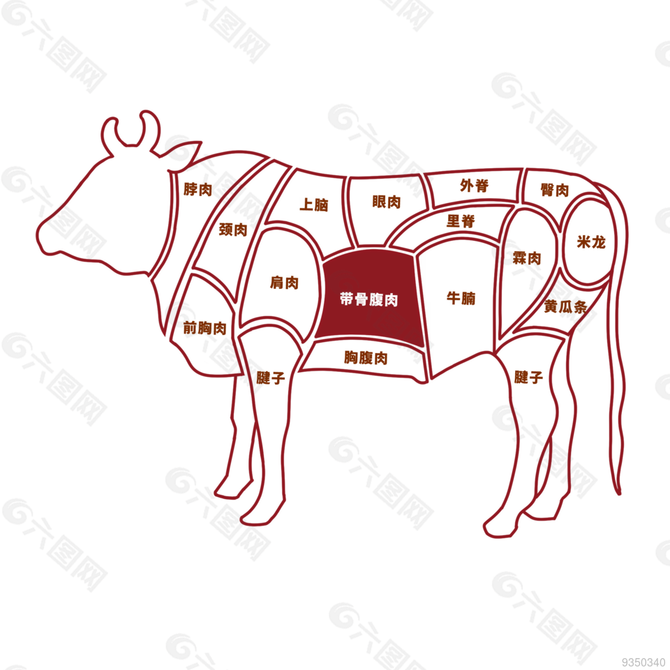 牛各部位牛肉分解图分割图解剖图元素