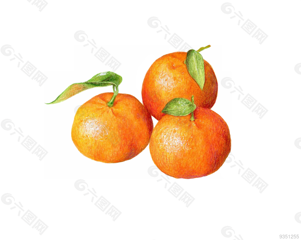 手绘 水果 卡通元素 橘子