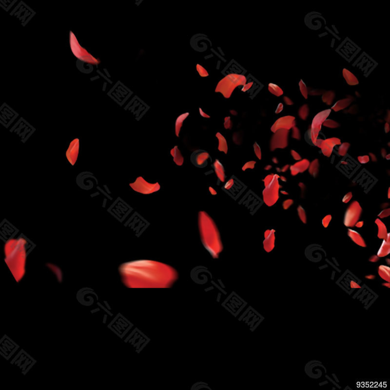 花瓣 素材 飘扬