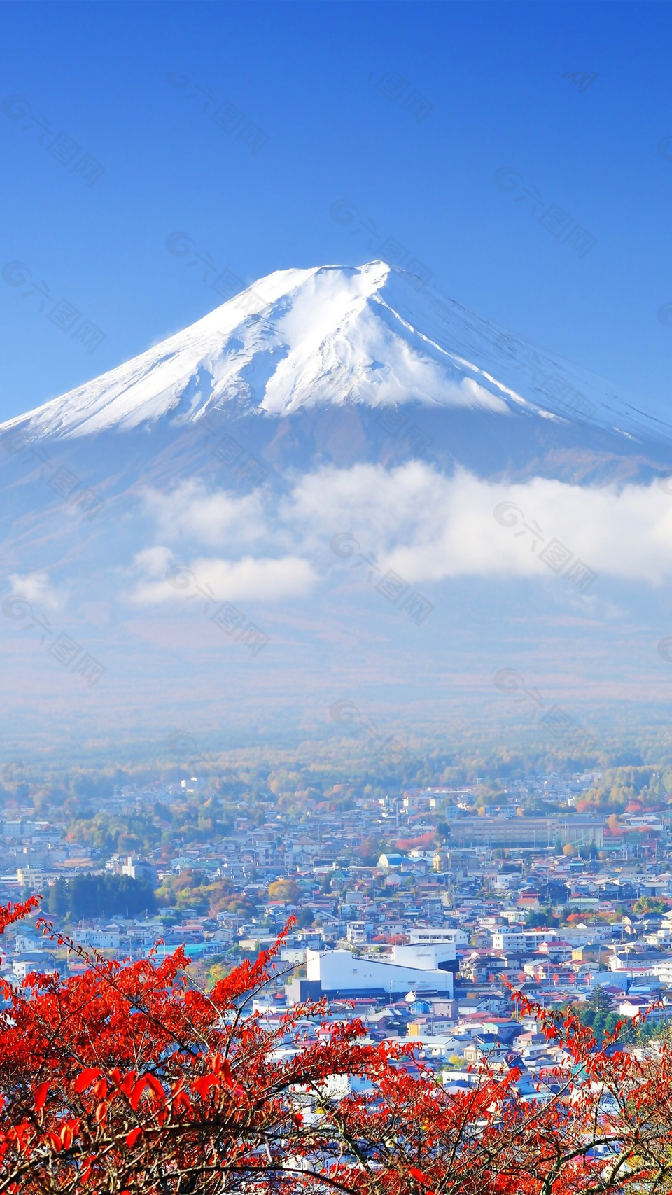 大海山脉