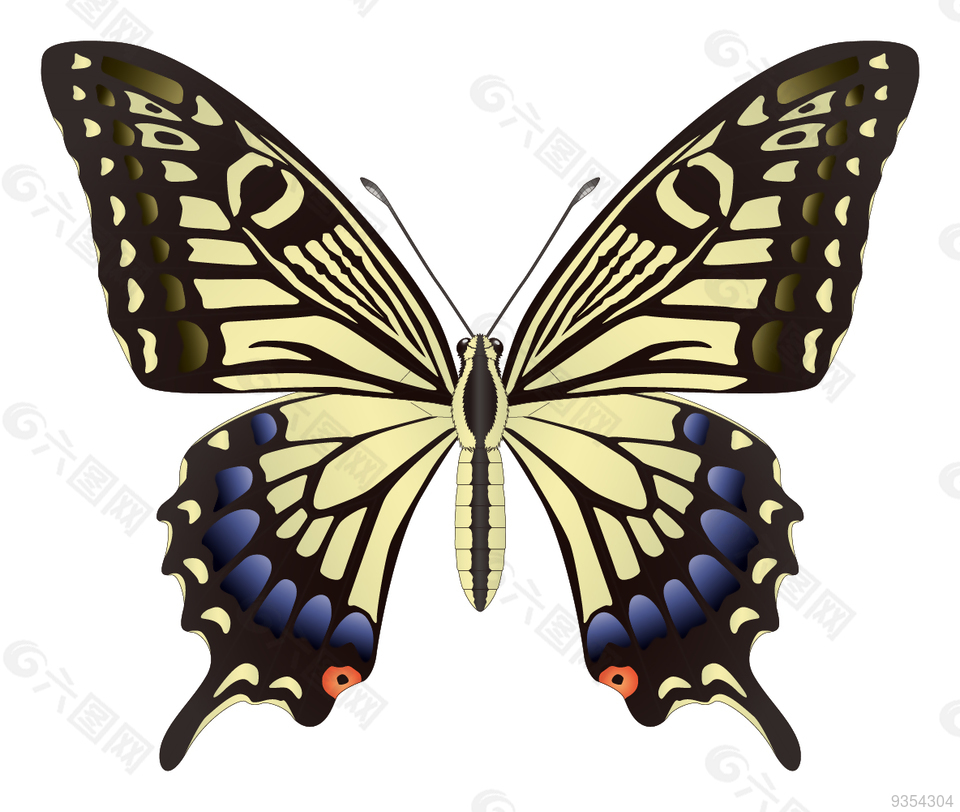 蝴蝶矢量图素材