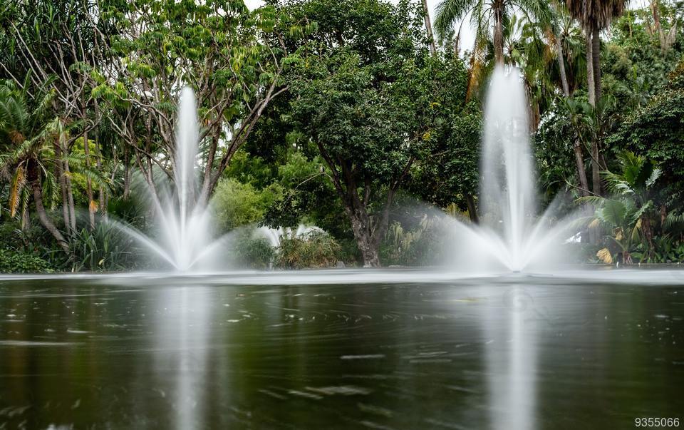 风景 水塘 喷泉