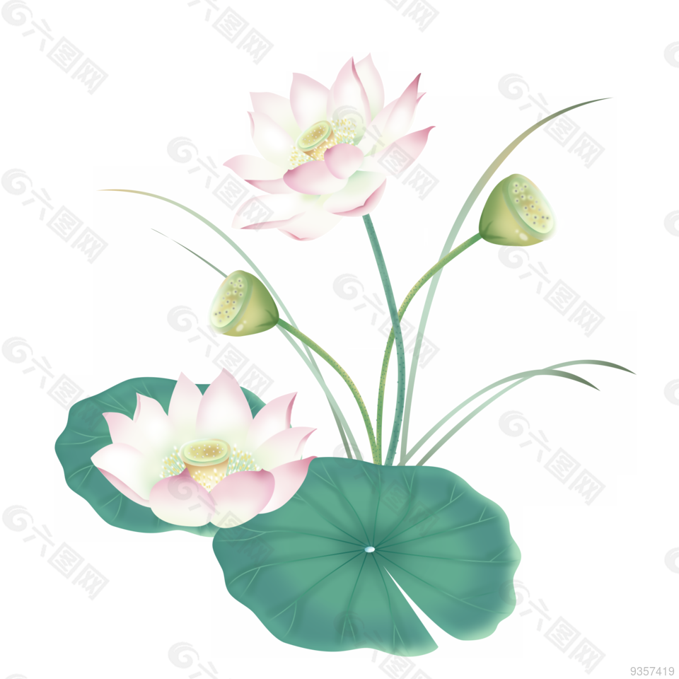 手绘清新水墨插画荷花荷叶花卉中国风植物设计元素素材免费下载 图片编号 六图网