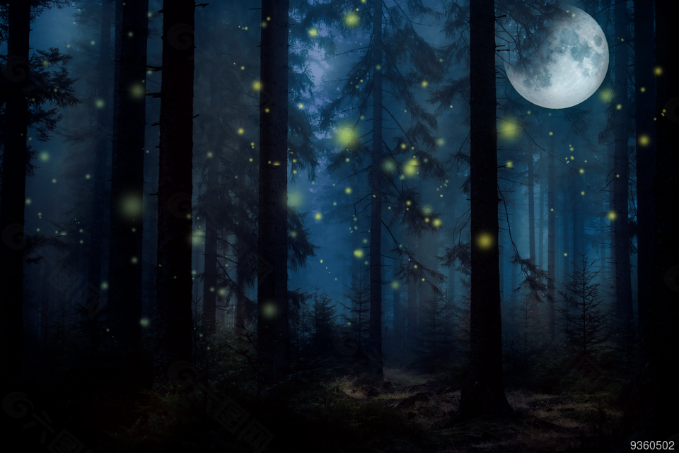 黑色的树林有着一些萤火虫照着唯弱的光