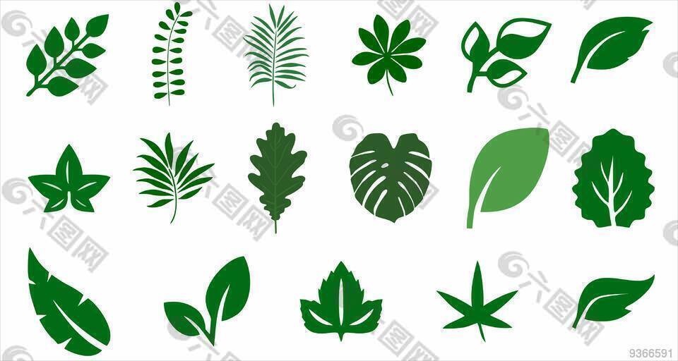 叶子 手绘 图片 cdr矢量 模版 下载