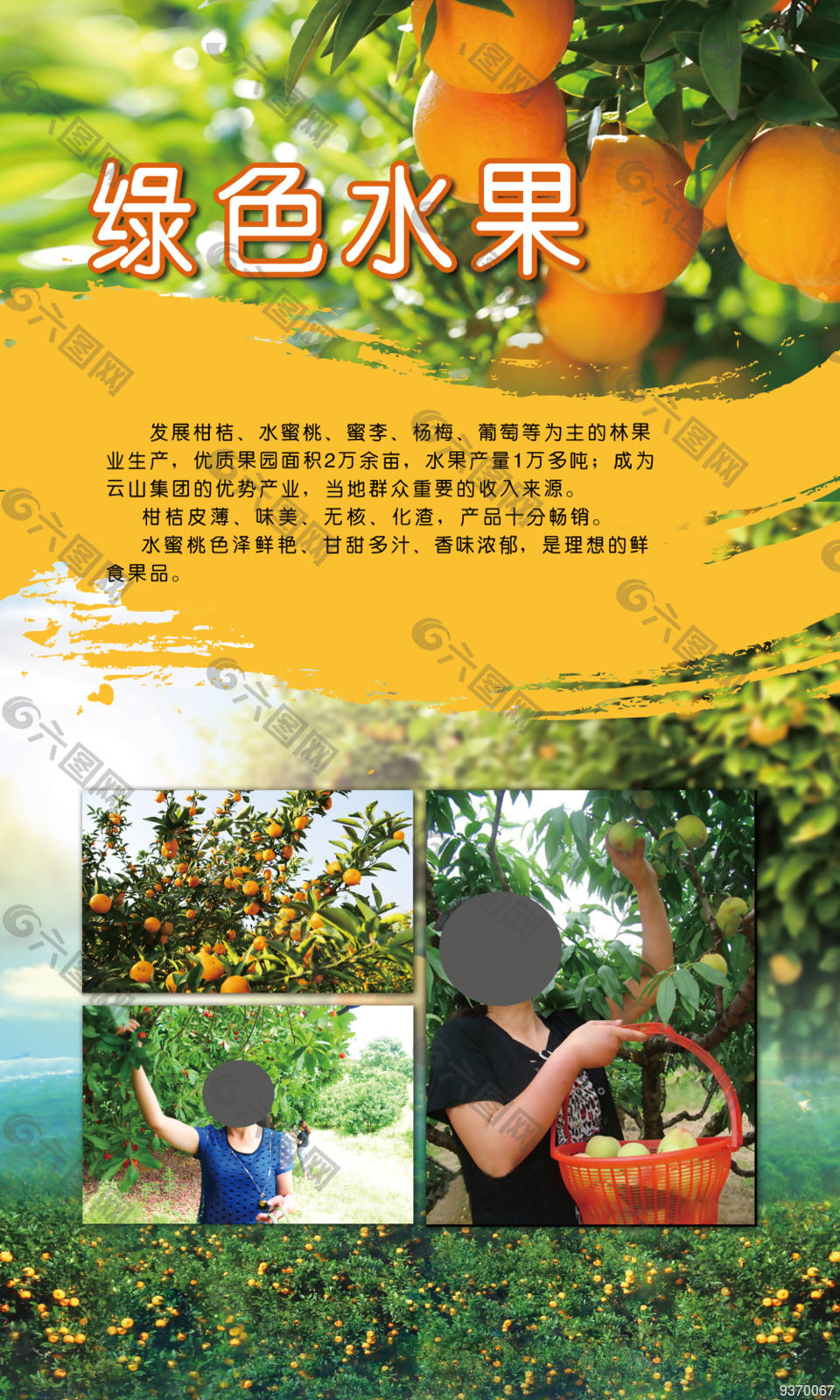 绿色水果果农促销展板
