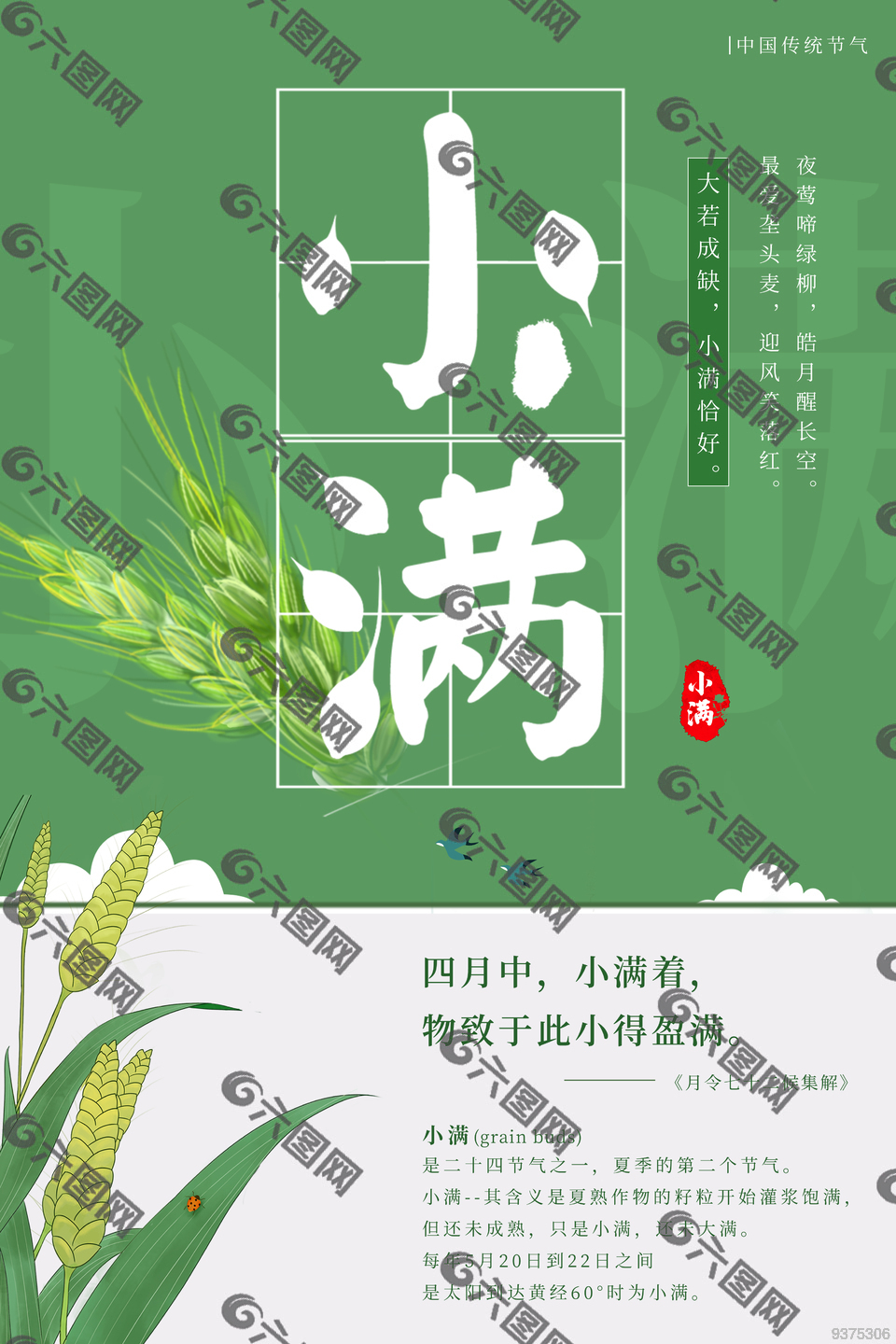 精美小满节日海报
