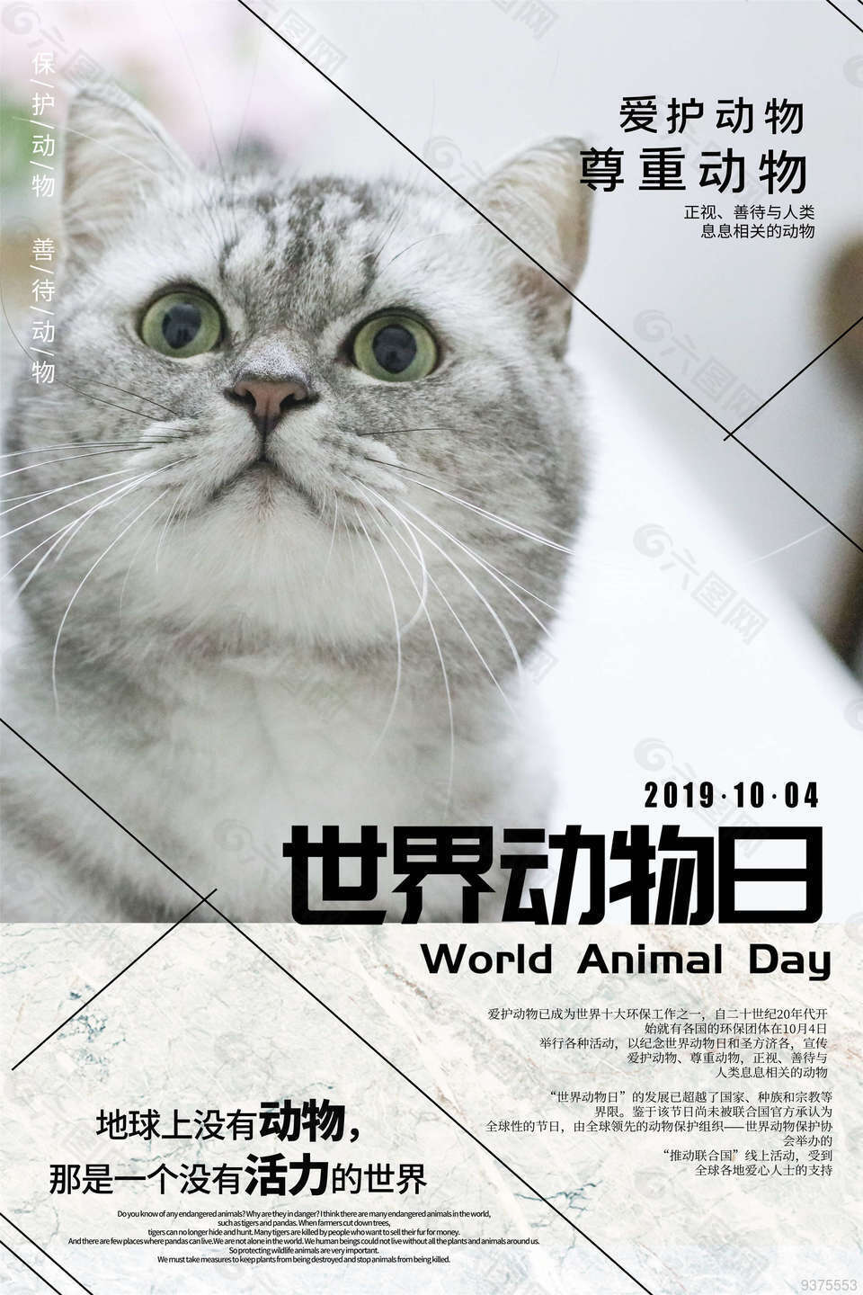 爱护动物保护动物素材海报