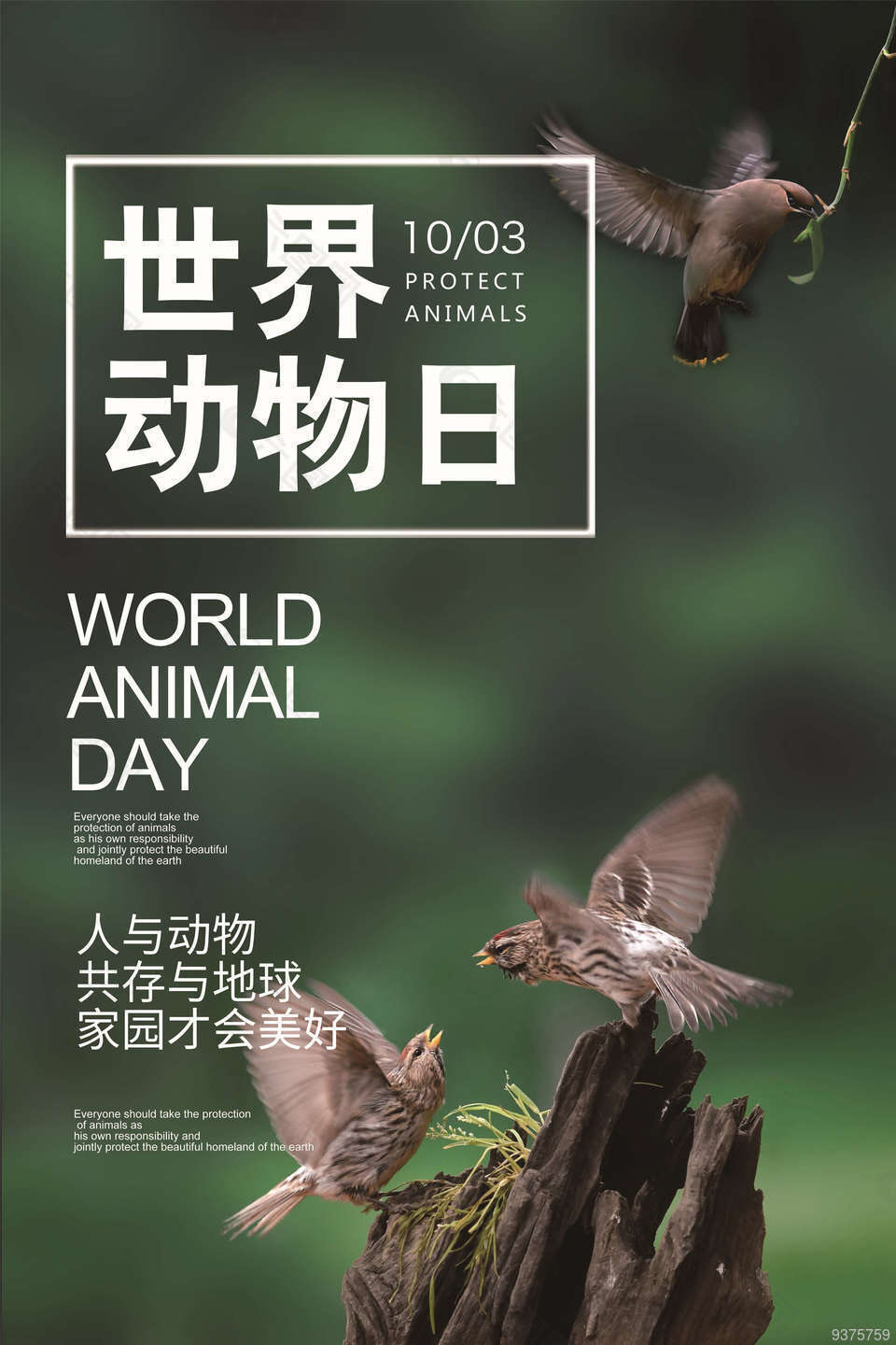 世界动物日美好家园海报