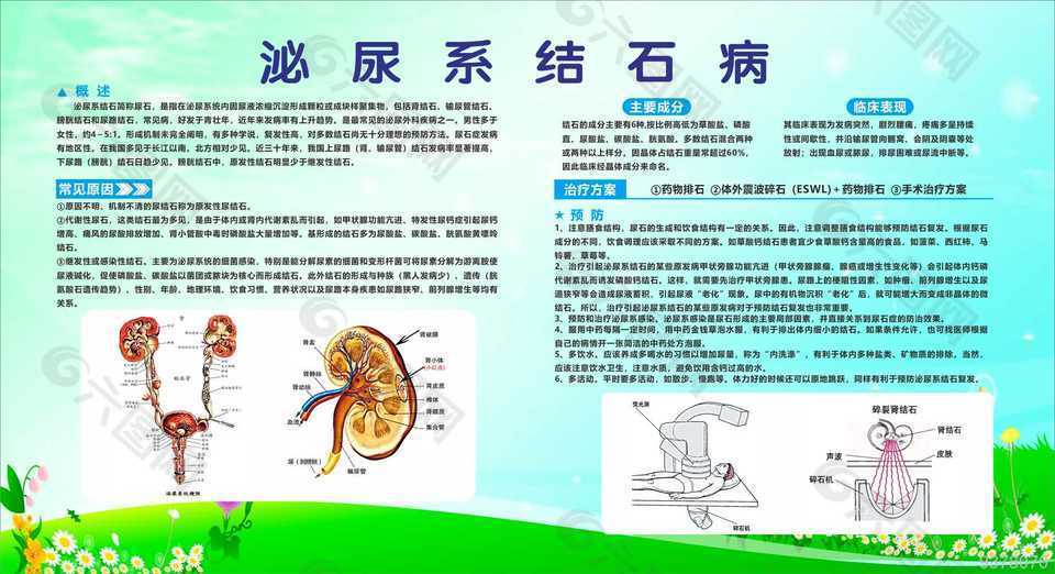 结石病科普海报