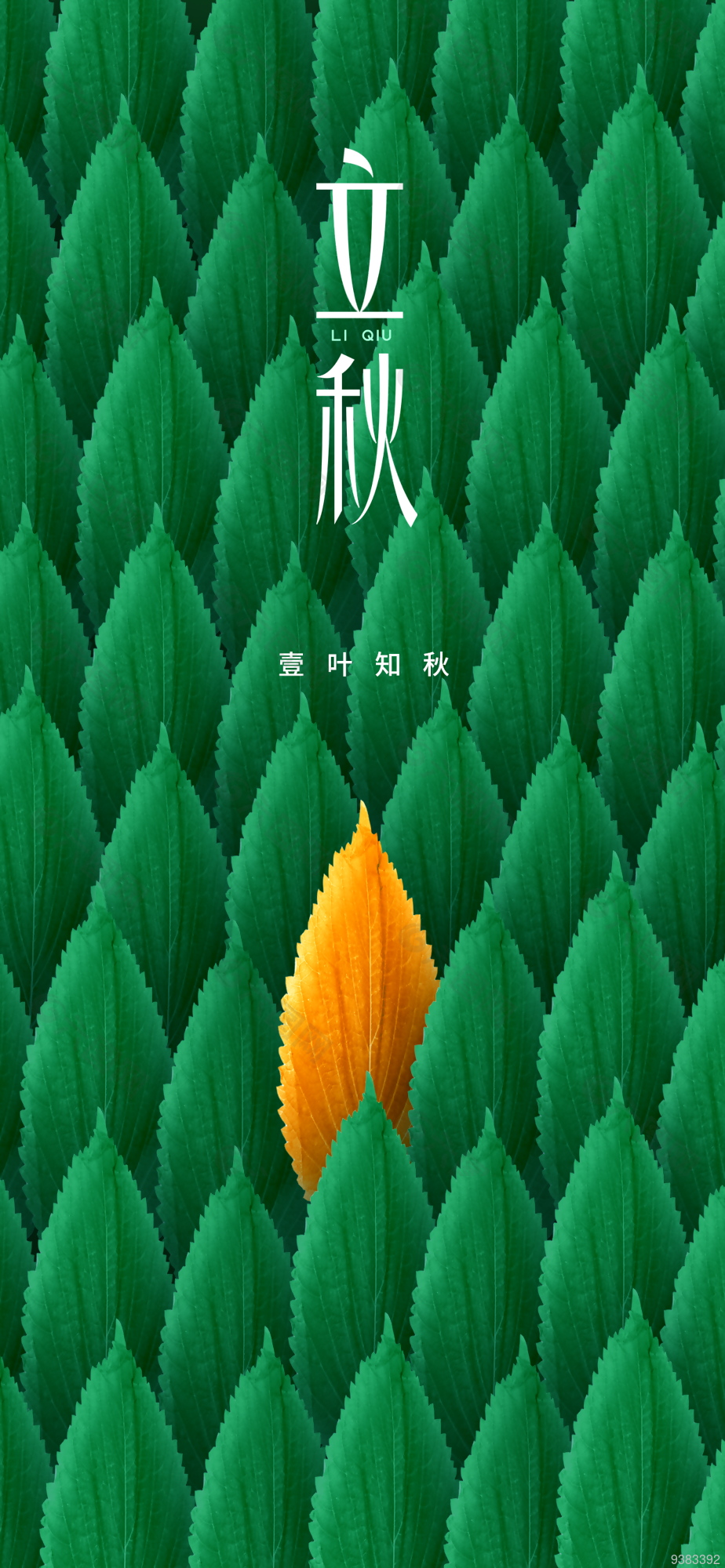 中国传统节气之立秋海报