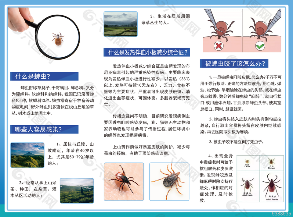 夏季预防蜱虫防虫知识点