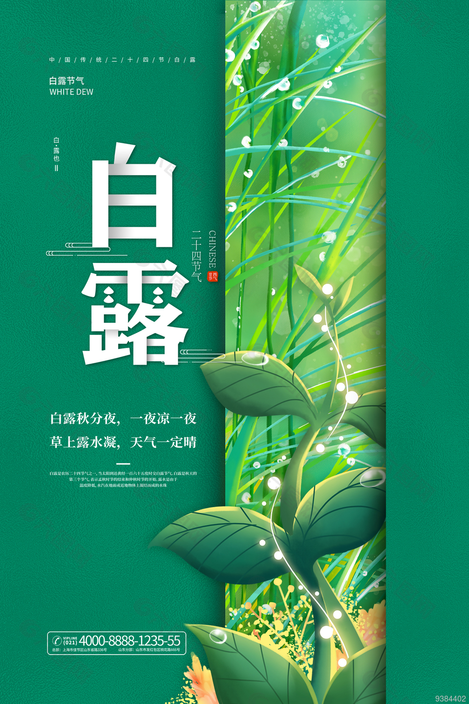 绿色清新白露节气宣传海报