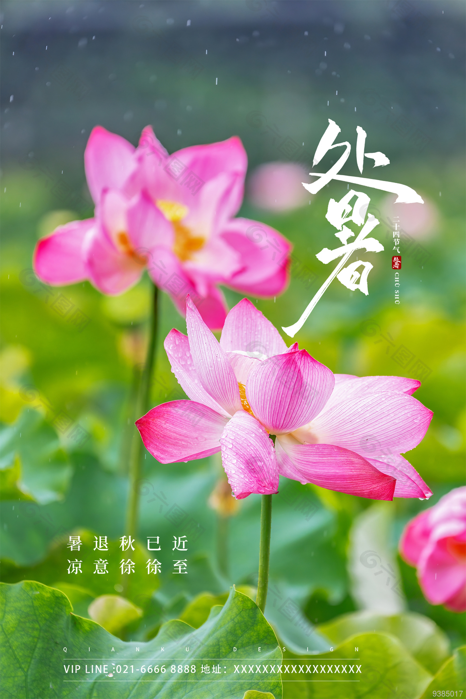 夏日节气处暑宣传海报