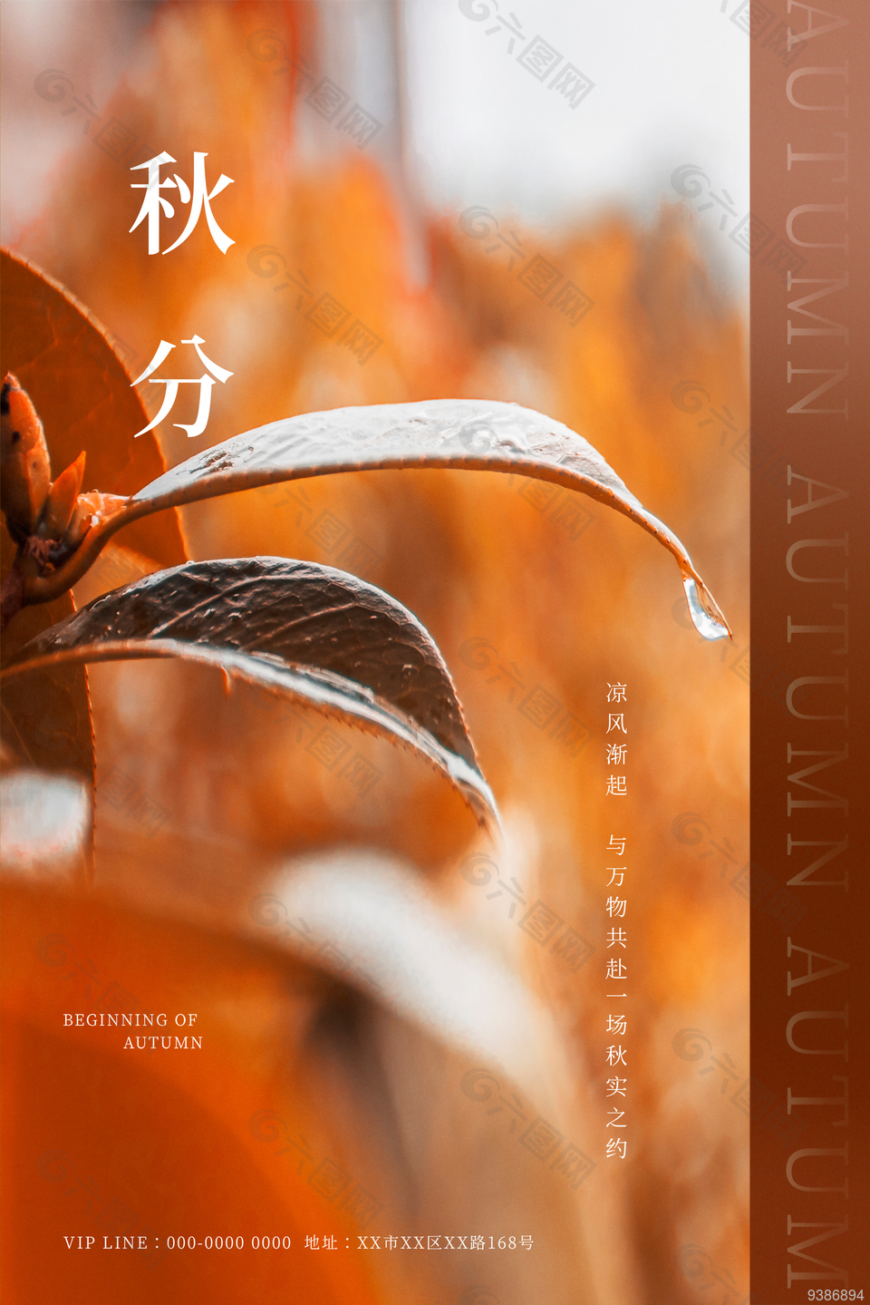 秋分节气单图图片下载