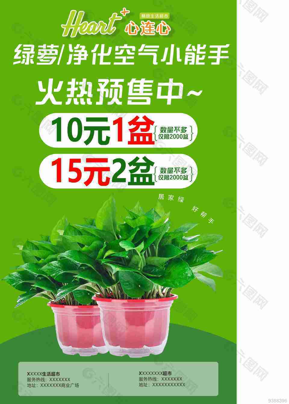 植物促销海报