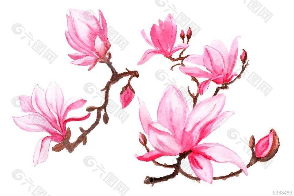 中式杏花水彩图案设计