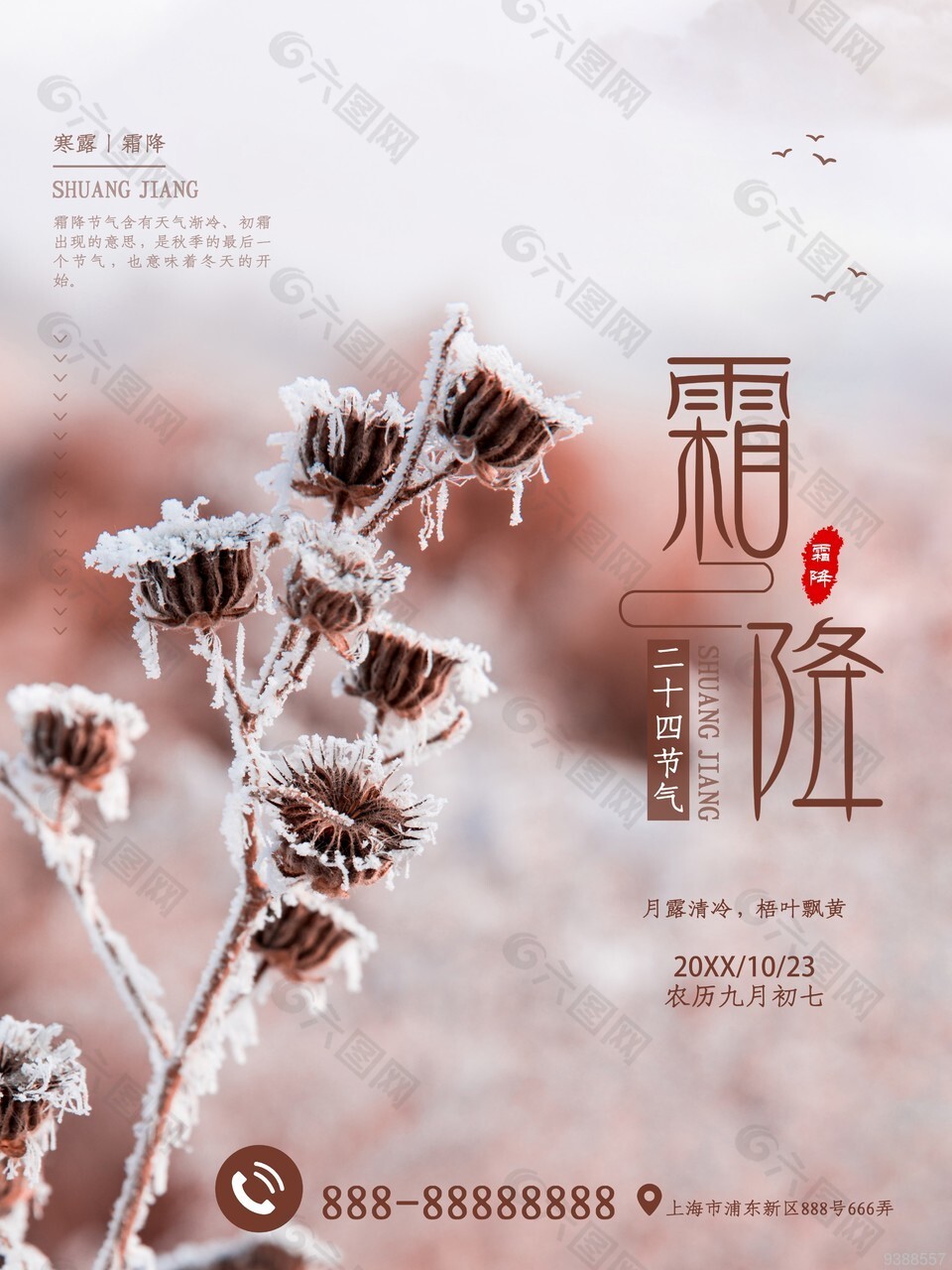寒露霜降结霜摄影图海报模板