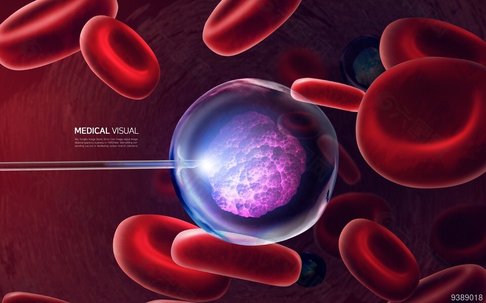 医疗生物科技展板背景设计